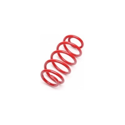 TATechnix pružina zadn. nápravy Seat Leon (1P1) z podvozku EVOGWVW13/55
