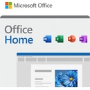 Microsoft Office 2024 Home & Student (EP2-06798)