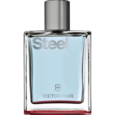 Victorinox Swiss Army Steel EDT 100 ml Tester