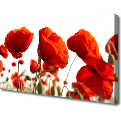 Obraz na plátně Tulipány Květiny 100x50 cm