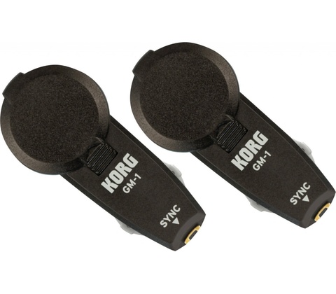 Korg GM-1 2Set