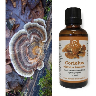 Herbarium Projekt Coriolus očista a imunita, tinktúra z medicinálnej huby 50 ml