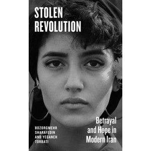 Stolen Revolution (ISBN: 9780241744048)
