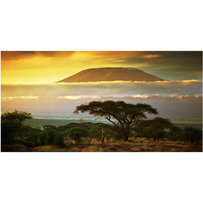 Fotoobraz na skle Kilimanjaro Kenya 100x50 cm