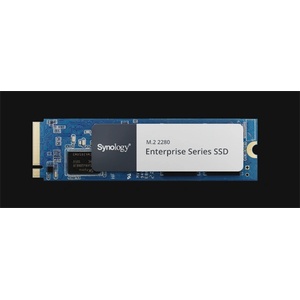 Synology Enterprise 400GB (SNV5420-400G)
