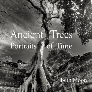 Ancient Trees | Beth Moon (2014)