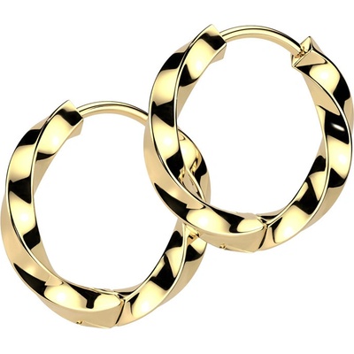 Steel Edge náušnice z chirurgickej ocele krúžky SESE4589-8 Zlata