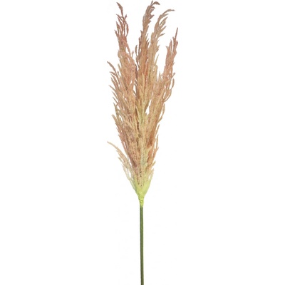 Rákos - Reed spray růžový V124 cm