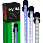 INVITAL DayNight LED 11, 4W 48, 5см (Z06243)