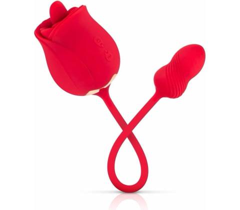 Teazers Rose