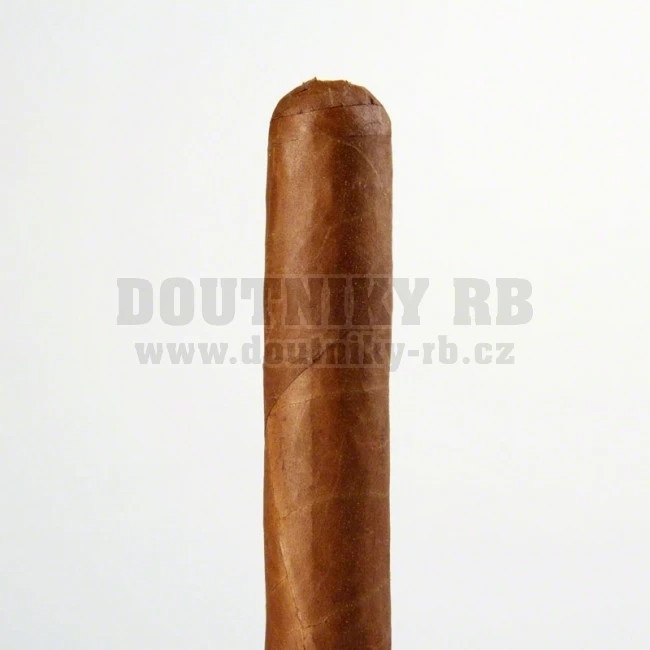 Cusano Robusto