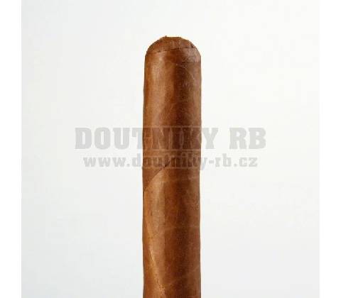 Cusano Robusto