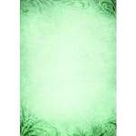 Galeria papieru Argo DIPLOMA EMERALD 170g 25ARK PAPIER GALLERY - 215617
