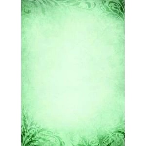 Galeria papieru Argo DIPLOMA EMERALD 170g 25ARK PAPIER GALLERY - 215617