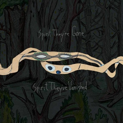 ANIMAL COLLECTIVE - SPIRIT THEY\'RE GONE, SPIRIT THEY\'VE VANISHED LP