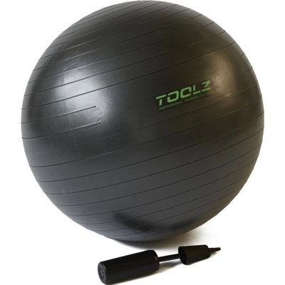 Toolz Gymnastic Ball 55 cm