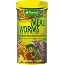 Krmivá pre terarijné zvieratá Tropical Meal Worms 100 ml