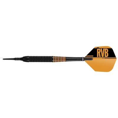 Target soft 19g Raymond van Barneveld mosadz RVB čierne