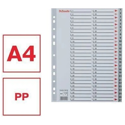 Registry, šedá, A4 Maxi, plast, 1-54, ESSELTE