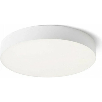 RENDL R14445