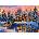 KS Games - Puzzle Dominic Davison: Christmas Lights - 1 000 piese