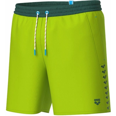 Arena Men's Team Stripe Beach Boxer