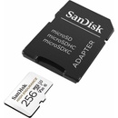 SanDisk SDXC 256GB SDSQQNR-256G-GN6IA