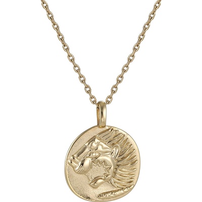 Free Style Přívěsek + řetízek z chirurgické oceli lev PSS1185