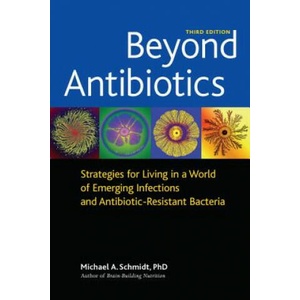 Beyond Antibiotics | Michael Schmidt (ISBN: 9781556437779)