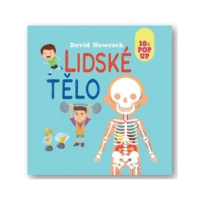 Lidské tělo