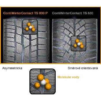 Continental ContiWinterContact TS 830 P 295/35 R19 104W