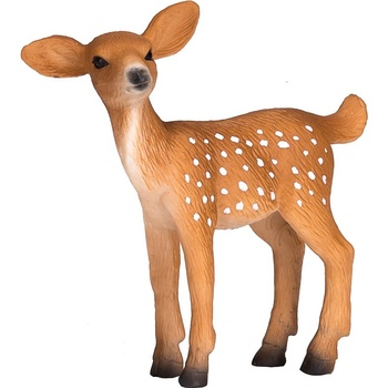 Mojo Jeleník bielochvostý jelenča