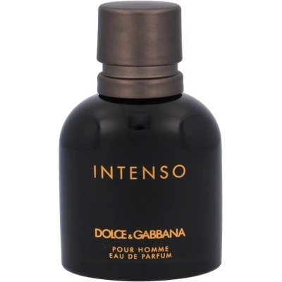 Dolce & Gabbana Intenso parfumovaná voda pánska 40 ml