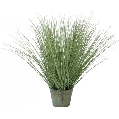 Okrasná tráva malá, 65cm