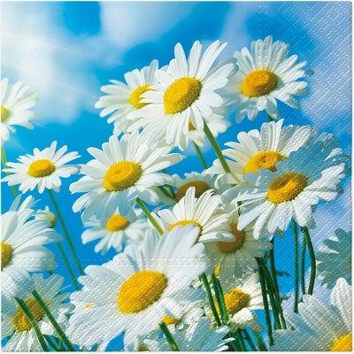 TaT Obrúsky 33x33cm Sun Daisies