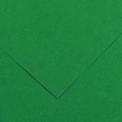 Canson farebný papier Vivaldi 50 x 65 cm 240 g 125H Machová zelená 30