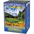 EVEREST AYURVEDA KATHPALA Chrípka a imunitný systém 100 g
