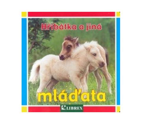 Hříbátka a jiná mláďata