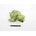 Dicota Turtle 30cm 31419