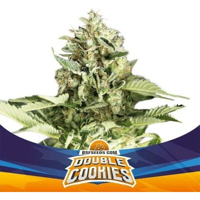 BSF Seeds Double Cookies AUTO semena neobsahují THC 4 ks