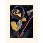 LEGO Преспапие Lego - Ninjago, Cole (LMP12051P)