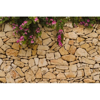 DIMEX ART s. r. o Флизелинов фототапет каменна стена с цветя 375 x 250 см