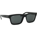 Ray-Ban Warren RB4396 667787