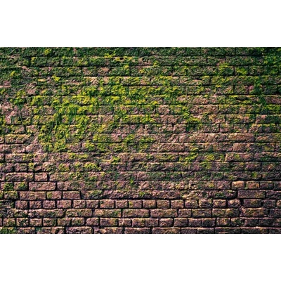 Dimex MS-5-2684 Vliesová fototapeta Cihlová zeď s mechem rozměry 375 x 250 cm
