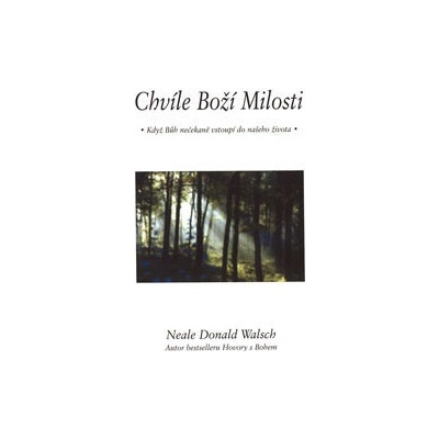 Chvíle Boží Milosti - Neale Donald Walsch
