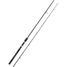 WFT Seadart Dorsch Jigger 2,2 m 40-160 g 2 díly