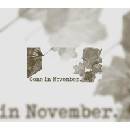 Gone In November