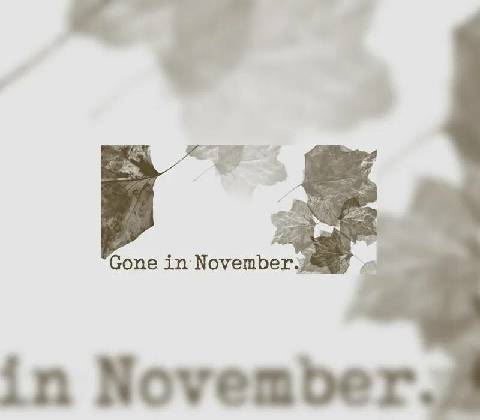 Gone In November