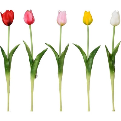 KS TULIPÁN 5F 47cm