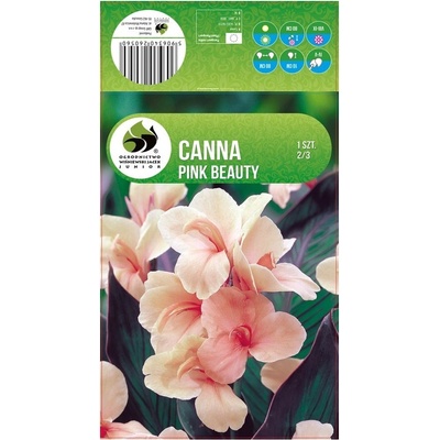 Seklos Кана Пинк Бюти Canna - 1 бр луковица